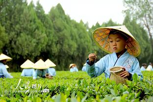 猛龙主帅谈失利：我们没有能量 我们必须学习如何终结客场比赛